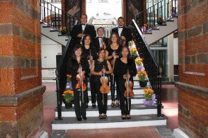 Violines segundos